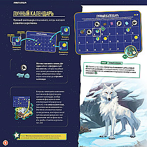 Board Game - Wolves